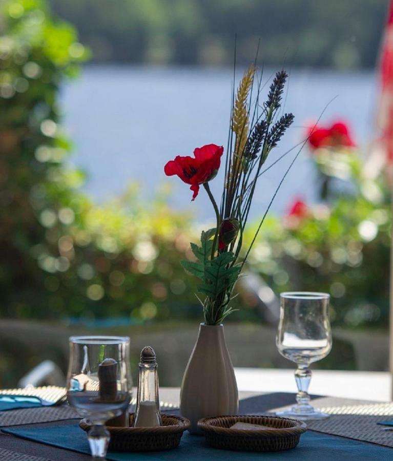Logis Hotel Du Lac Neuvic  Exterior photo